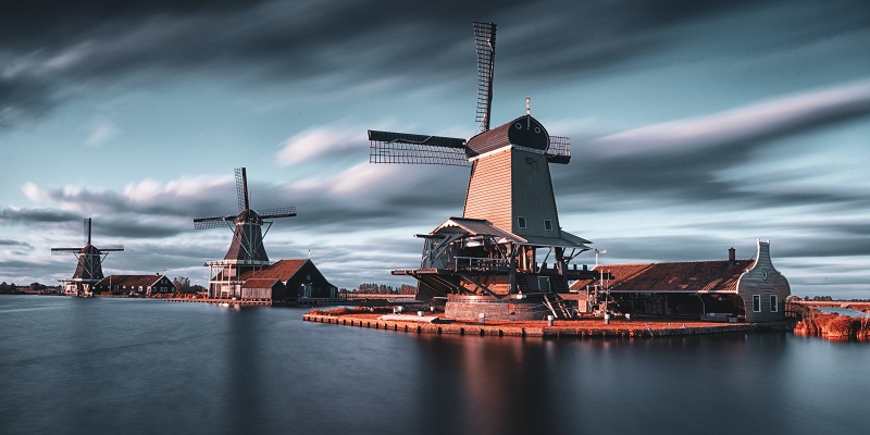How to Study in the Netherlands? An Ultimate Guide